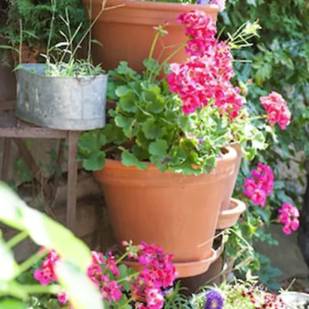 De Charme 'zum Schiff' Отель