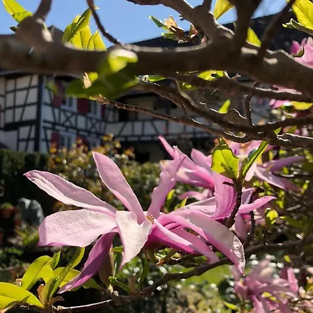 De Charme 'zum Schiff' Иффецхайм