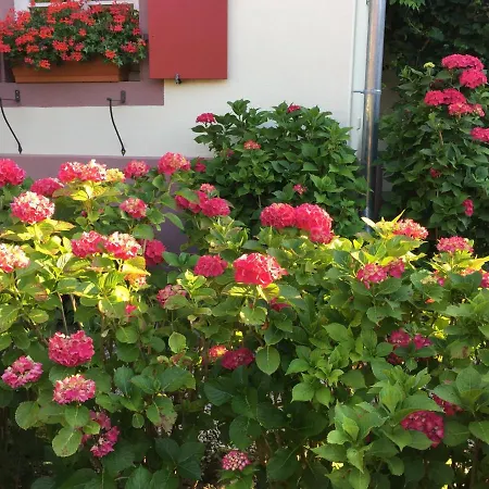 Отель De Charme 'zum Schiff' 3*